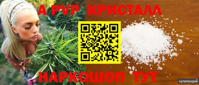 спайс Тара