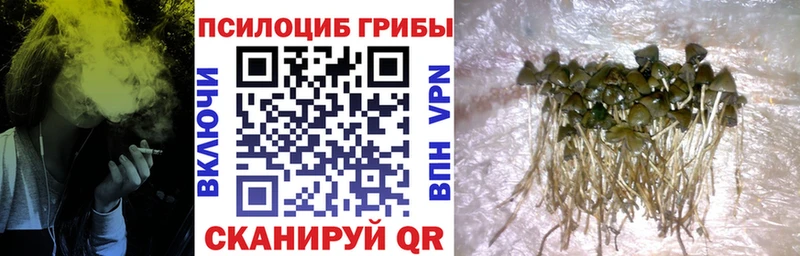 Псилоцибиновые грибы мухоморы  как найти закладки  сайты даркнета официальный сайт  Челябинск 