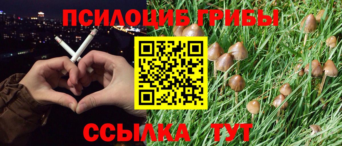 Галлюциногенные грибы мухоморы Челябинск